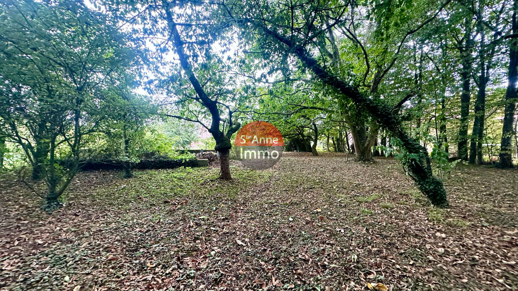 Photo 15 — SAINTE ANNE IMMO