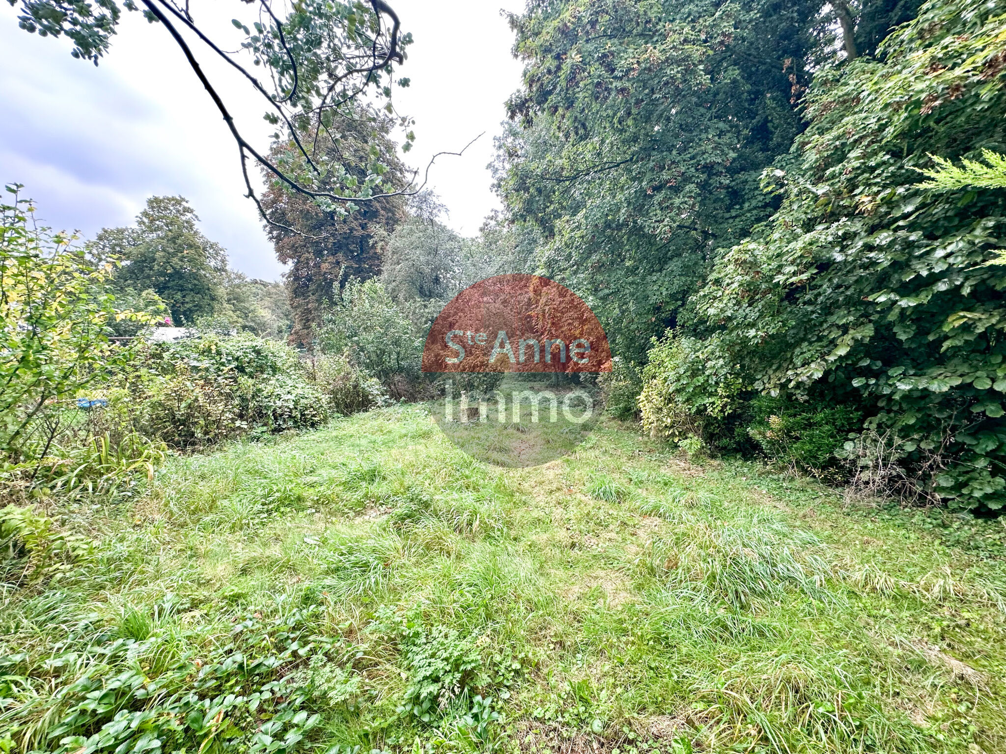 Photo 20 — SAINTE ANNE IMMO