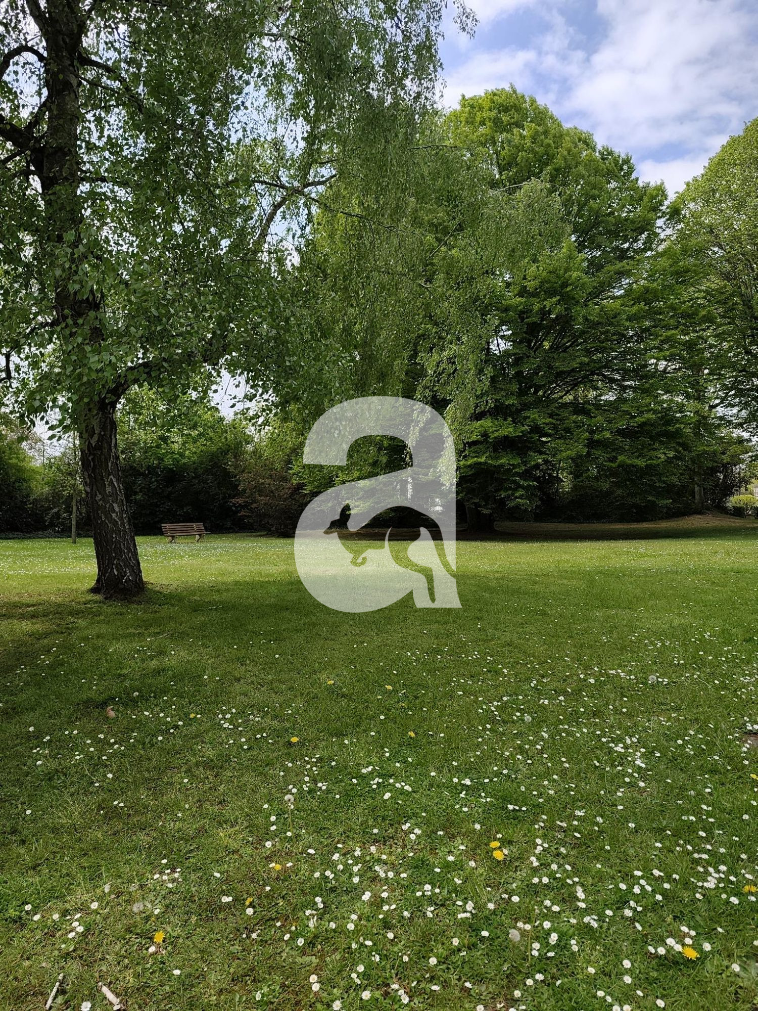 Photo 2 — ACTIF IMMOBILIER AISN'OISE
