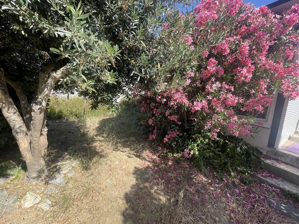 Photo 9 — NEXTLOGIS