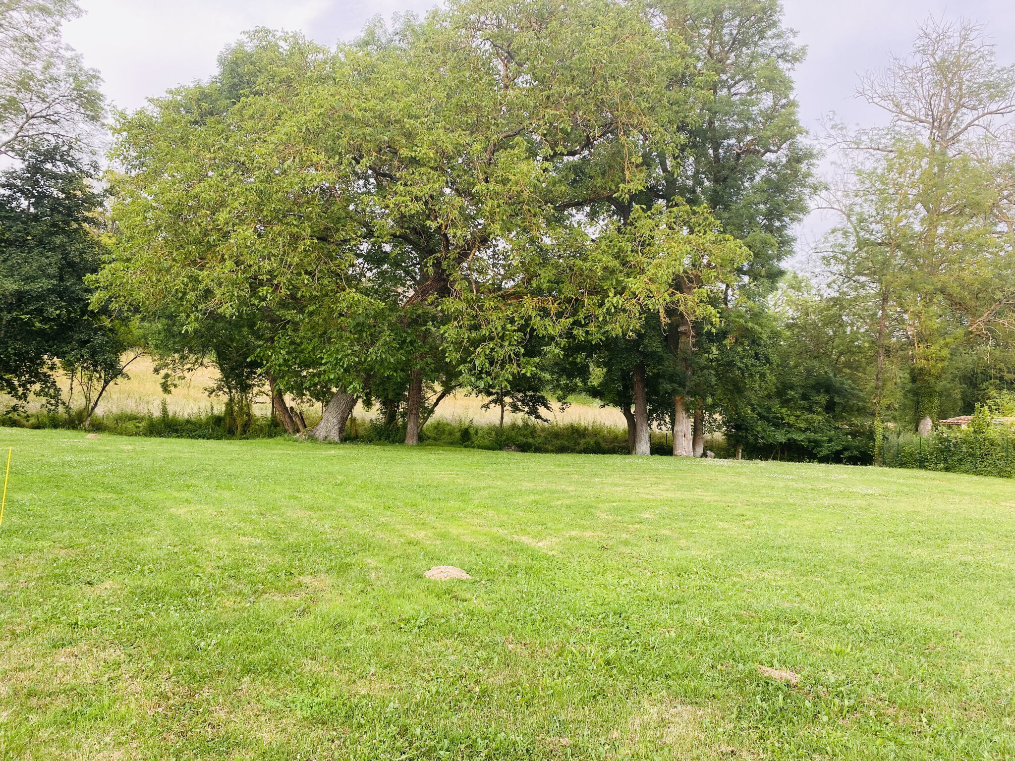 Photo 2 — LA QUEUE LEZ YVELINES IMMOBILIER