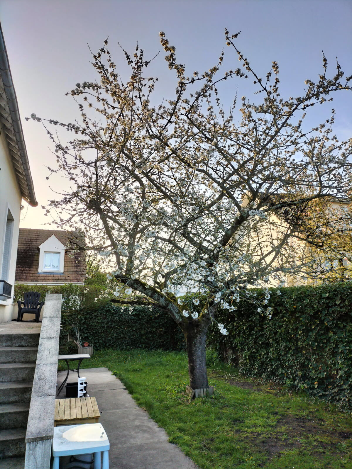 Photo 14 — LA QUEUE LEZ YVELINES IMMOBILIER