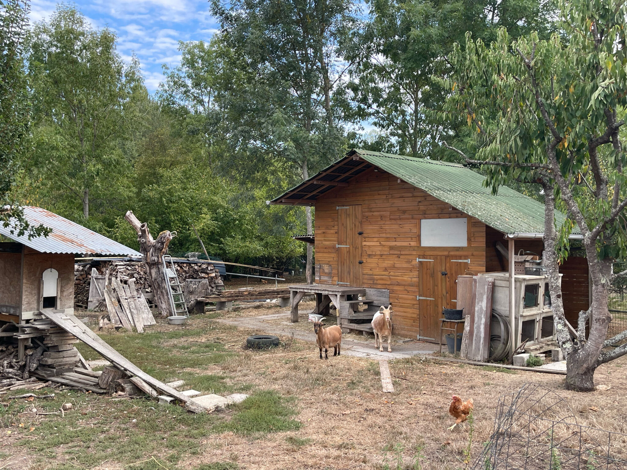 Photo 21 — COBEL IMMO 