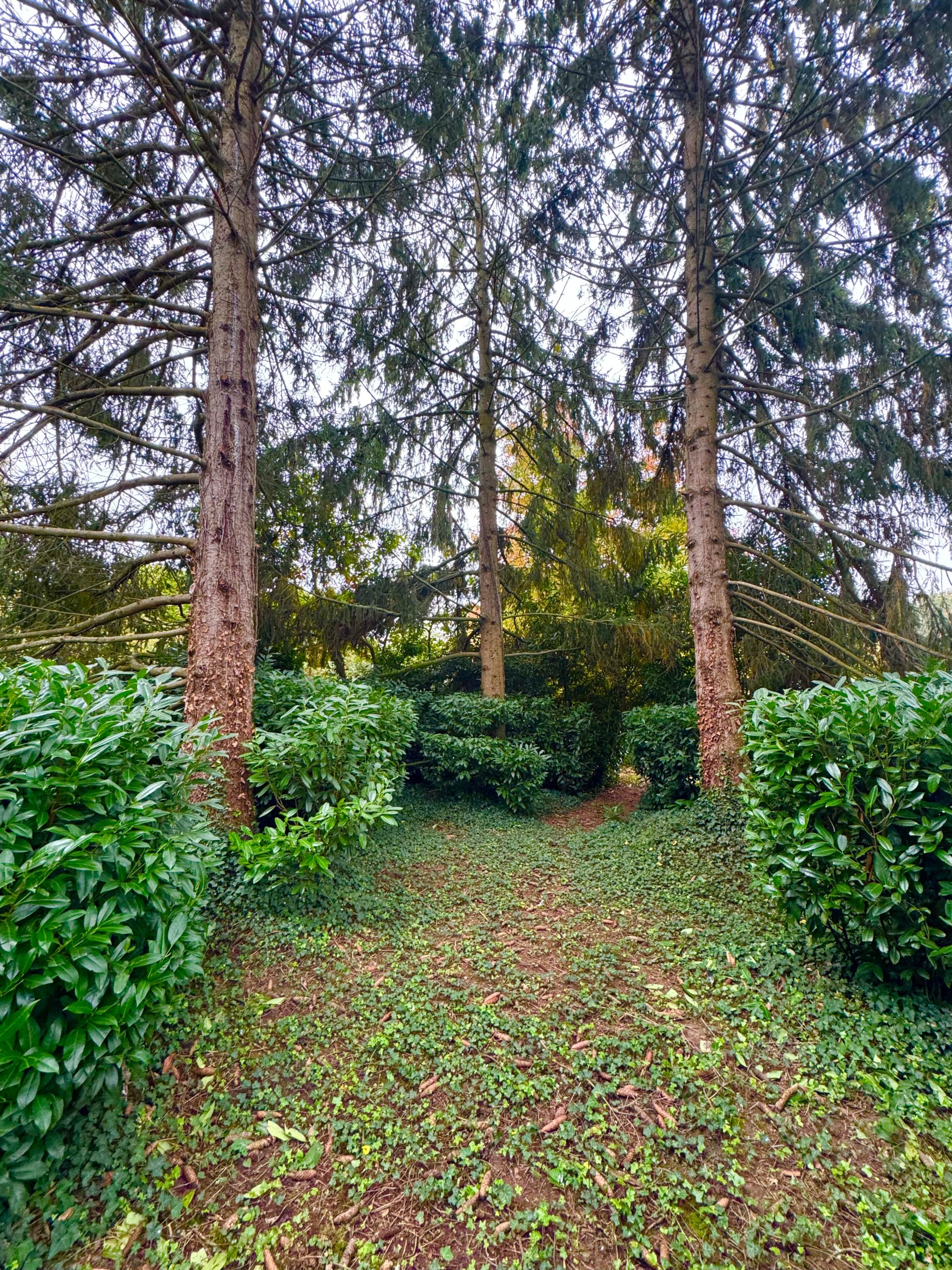 Photo 13 — NEYRAUD IMMOBILIER