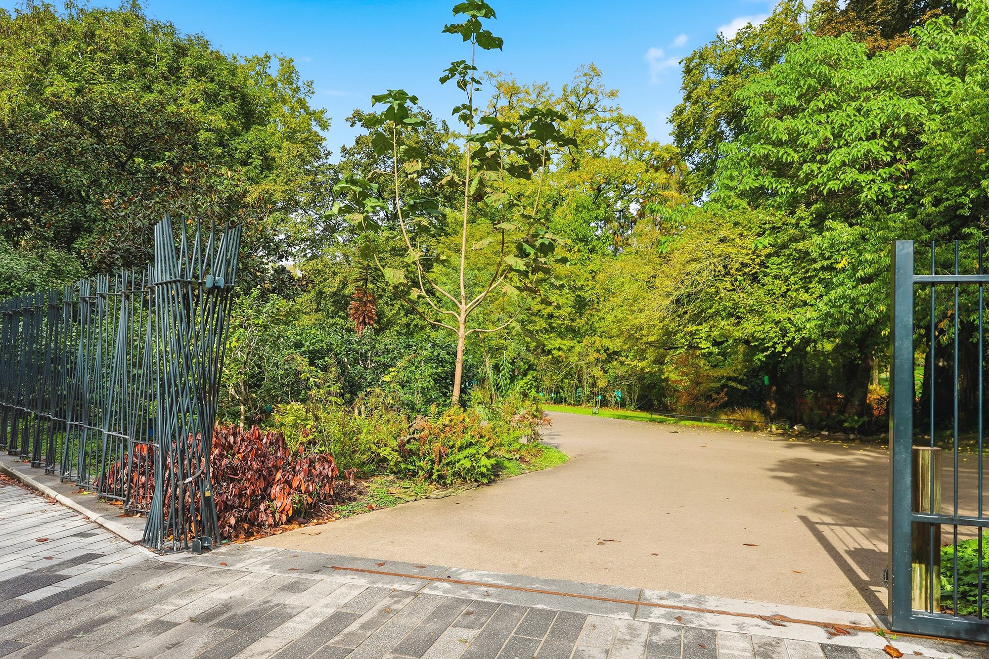 Photo 9 — EDENCIA
