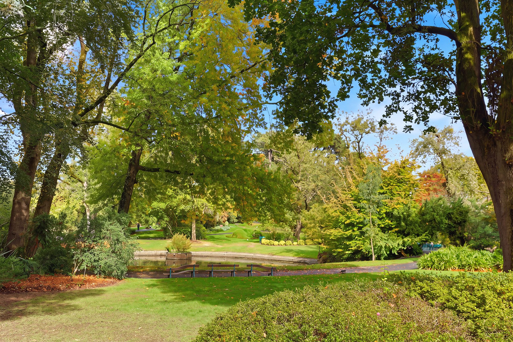 Photo 10 — EDENCIA