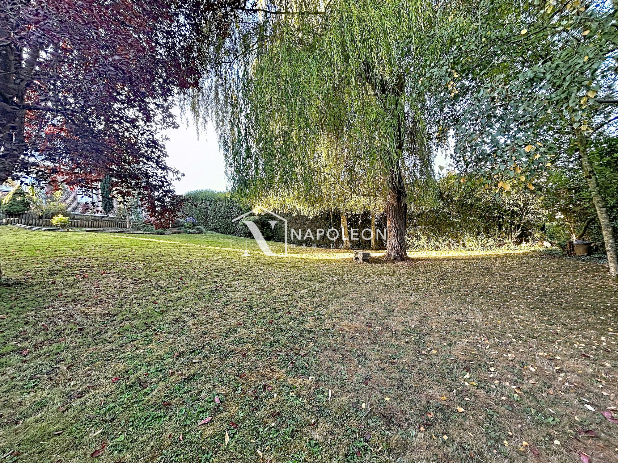 Photo 16 — Napoléon Habitat