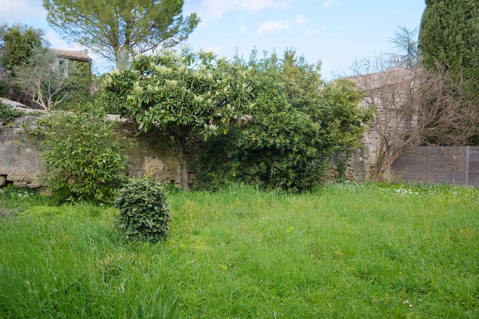 Photo 2 — AGENCE GIMMOT