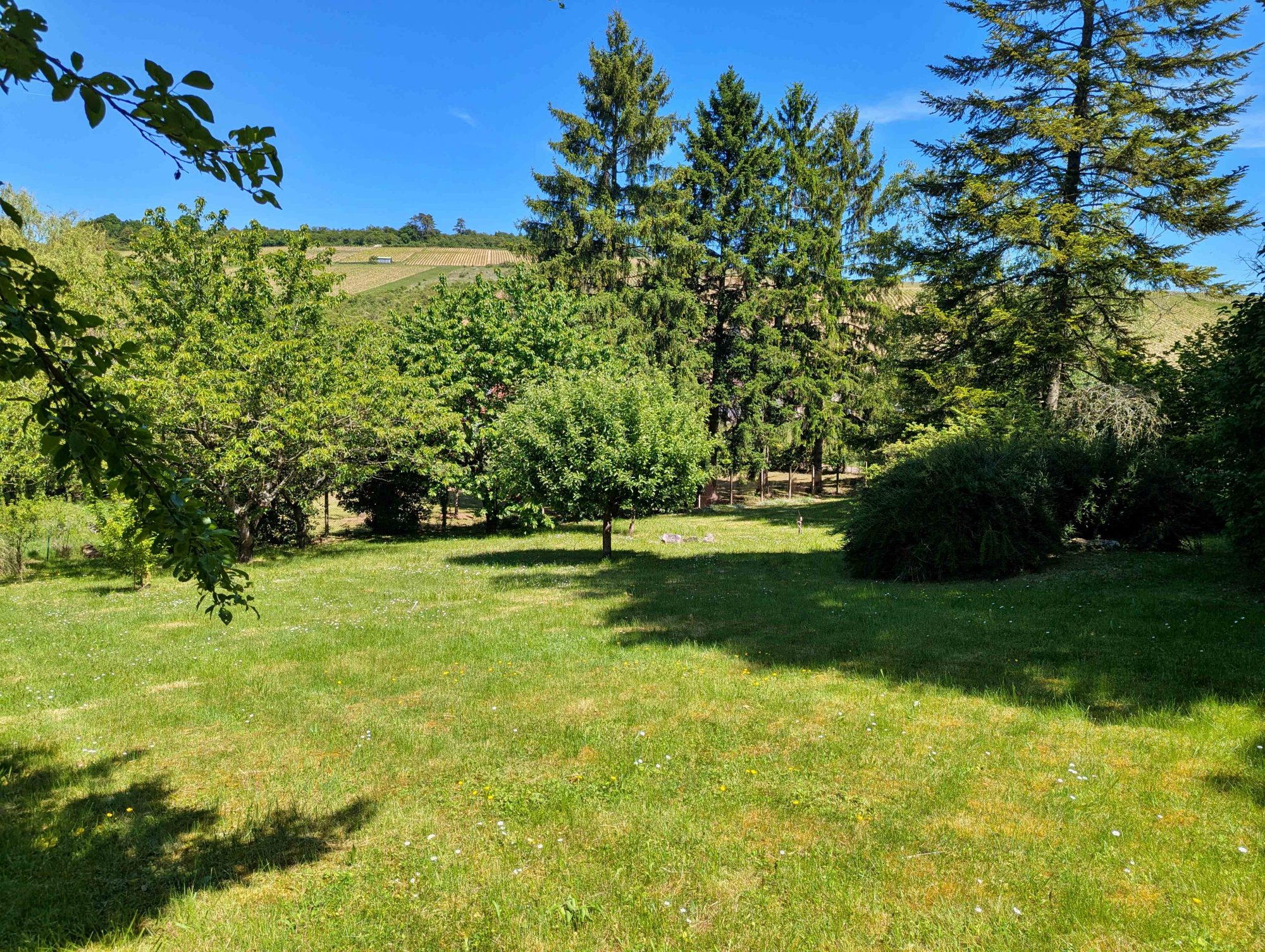 Photo 11 — SIROT Immobilier