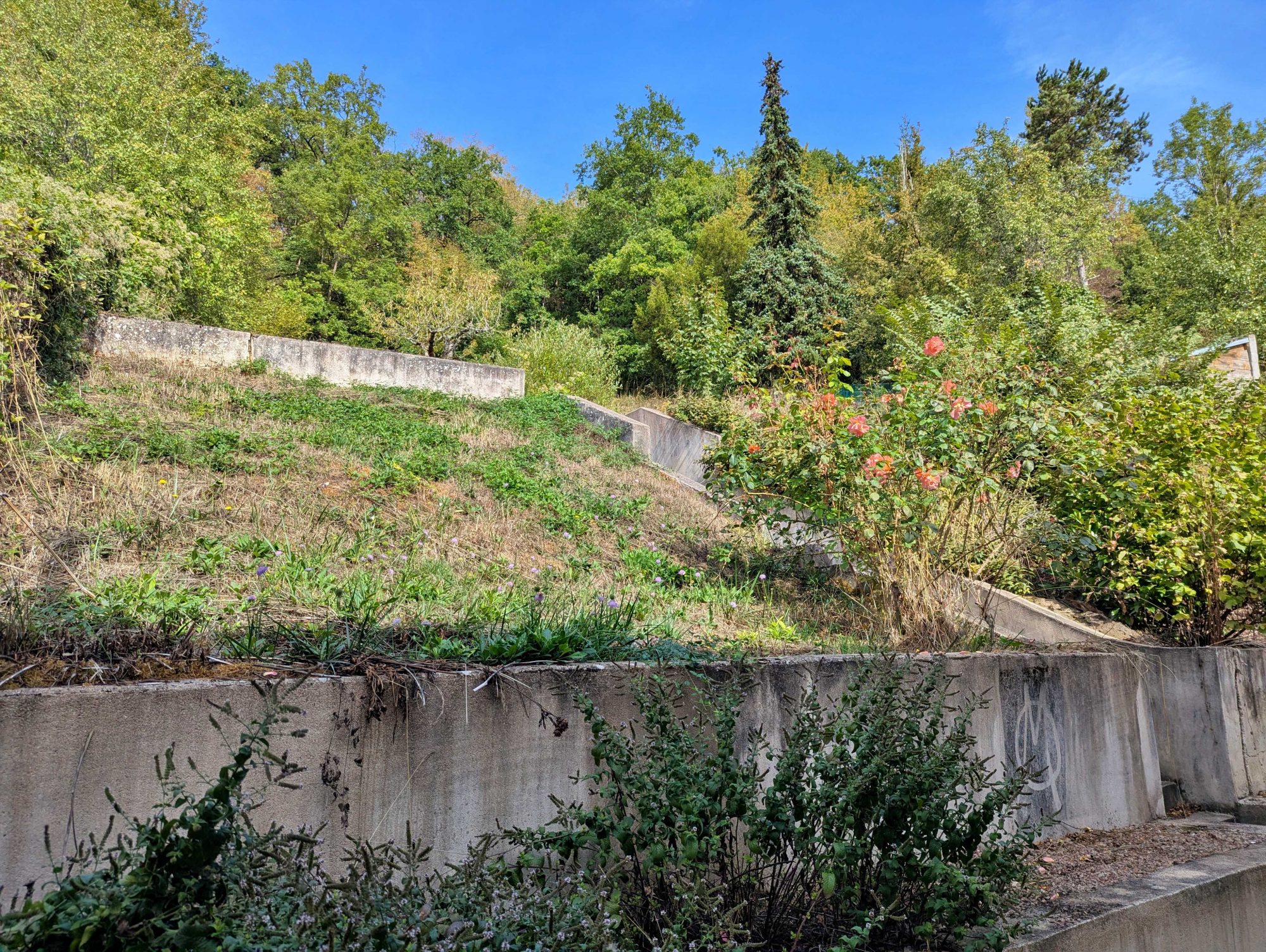 Photo 10 — SIROT Immobilier