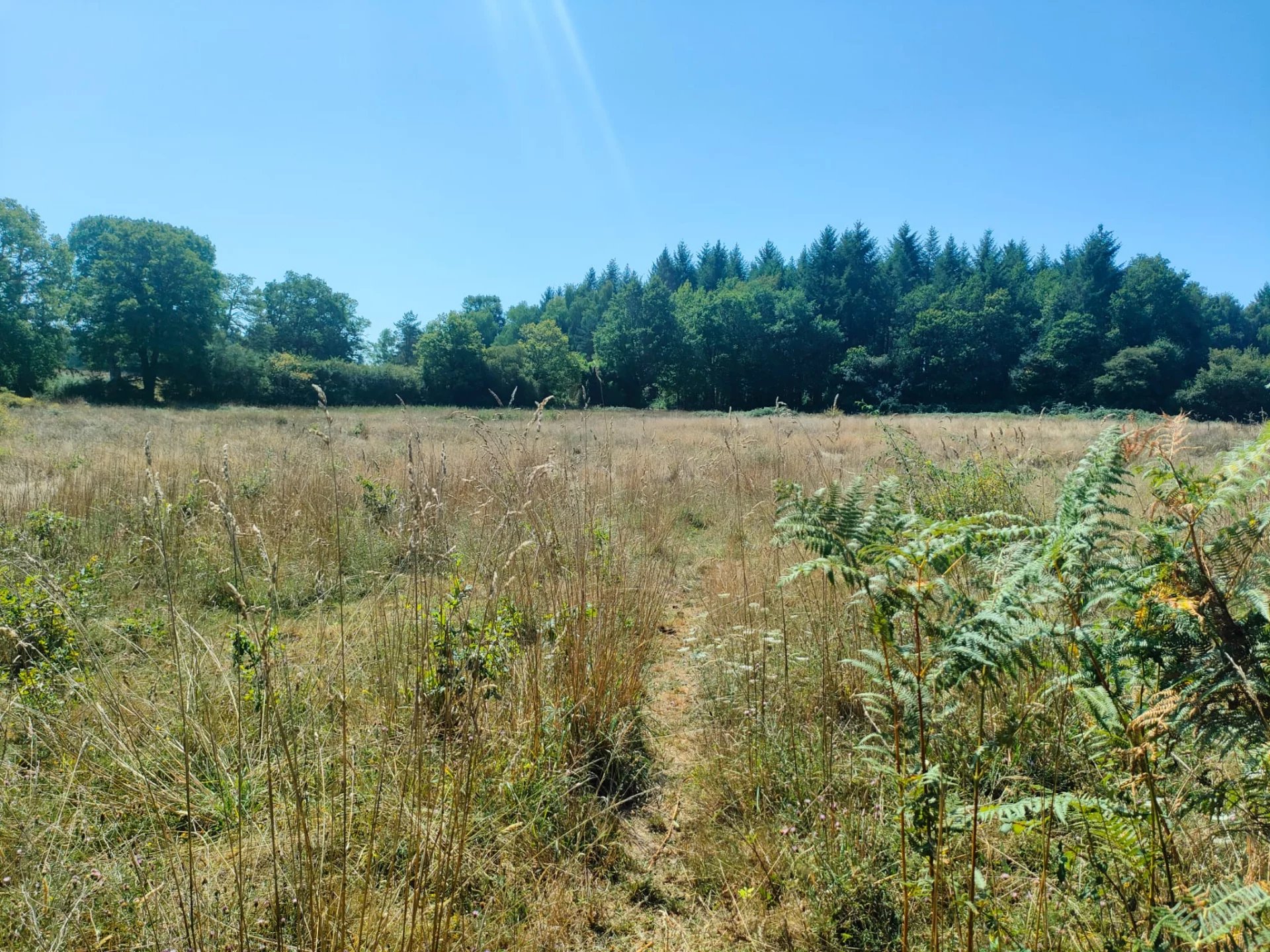 Photo 16 — Pragout Immobilier 