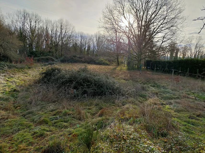Photo 17 — Pragout Immobilier 