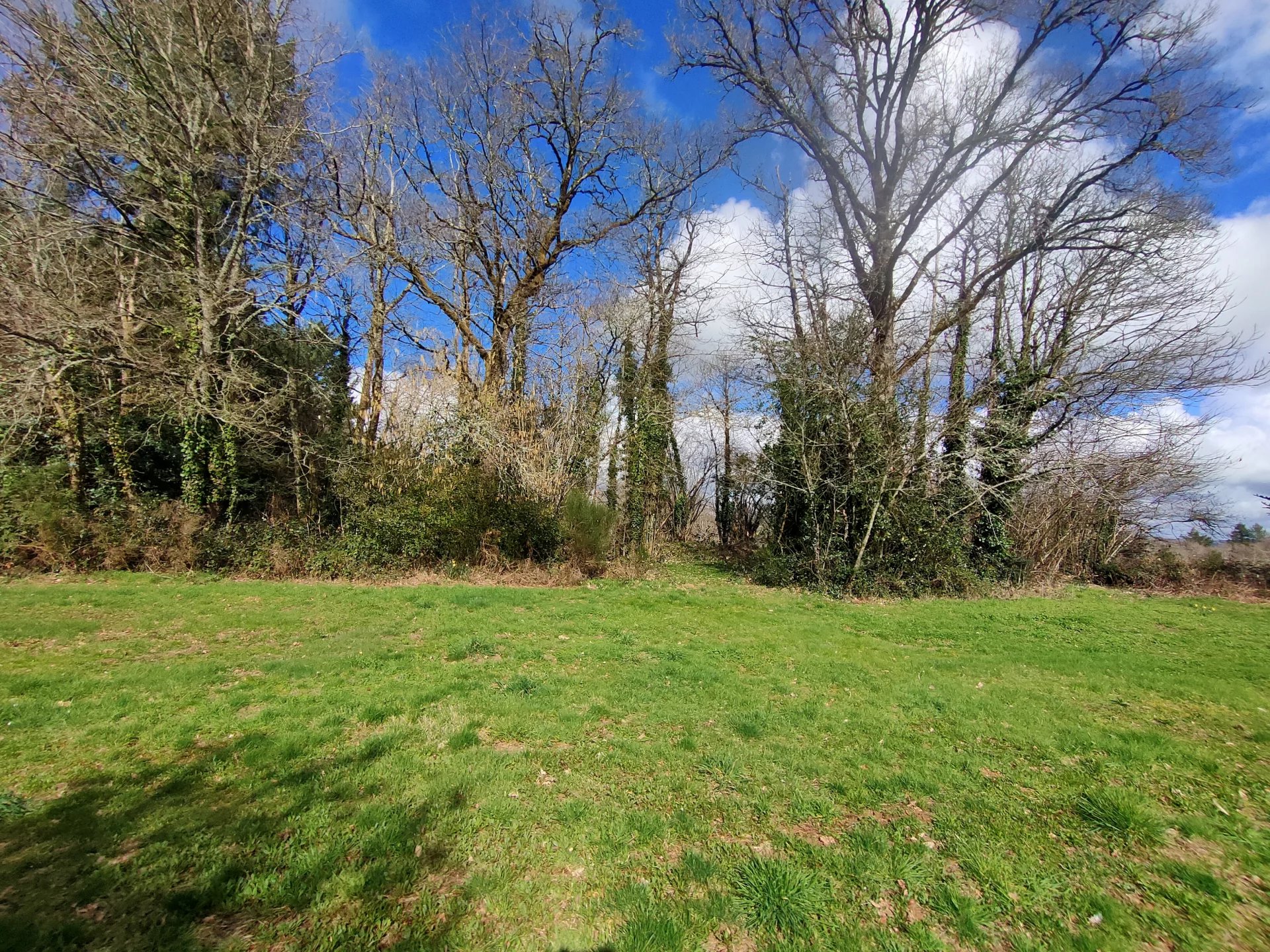 Photo 18 — Pragout Immobilier 