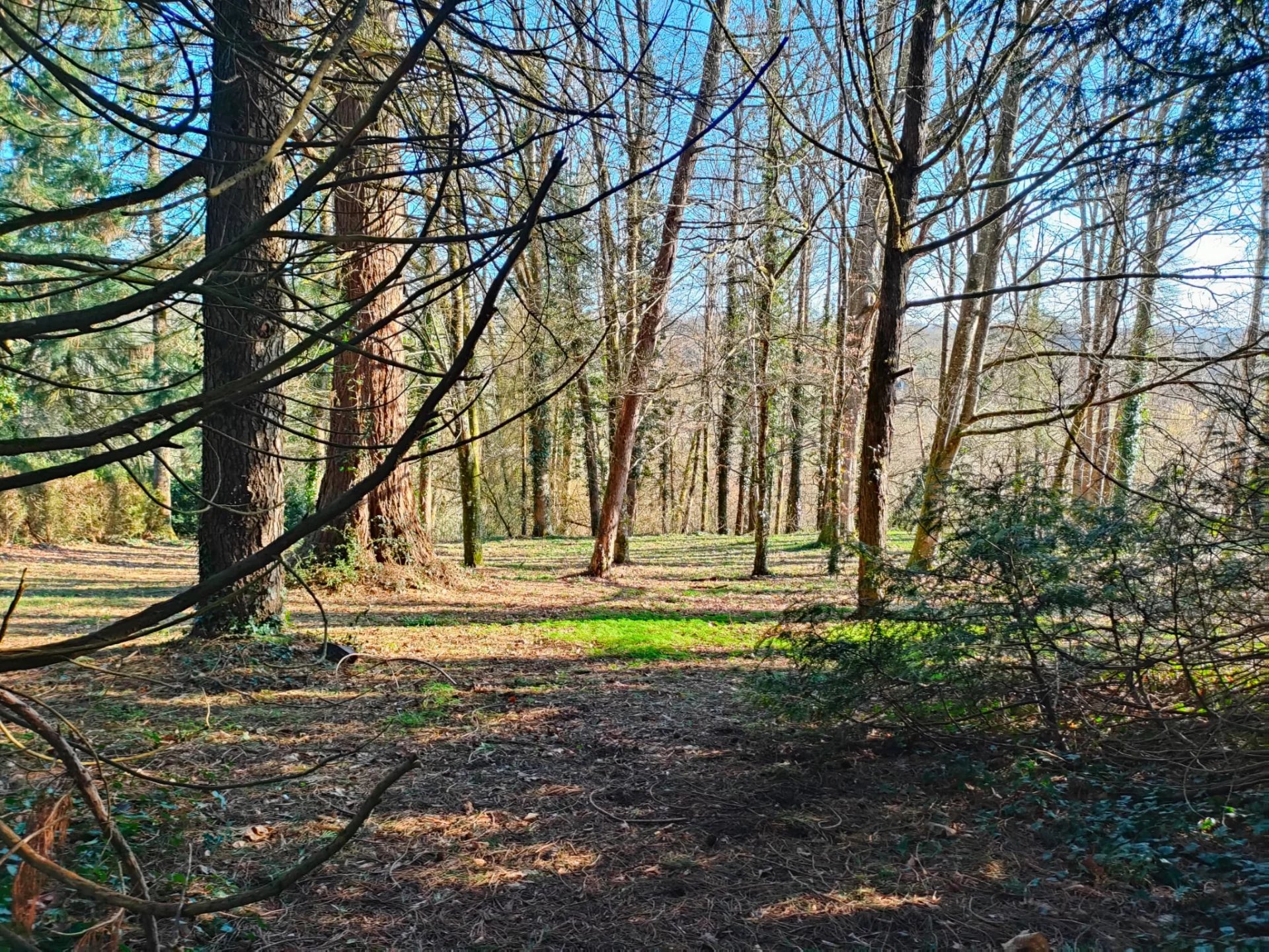 Photo 25 — Pragout Immobilier 