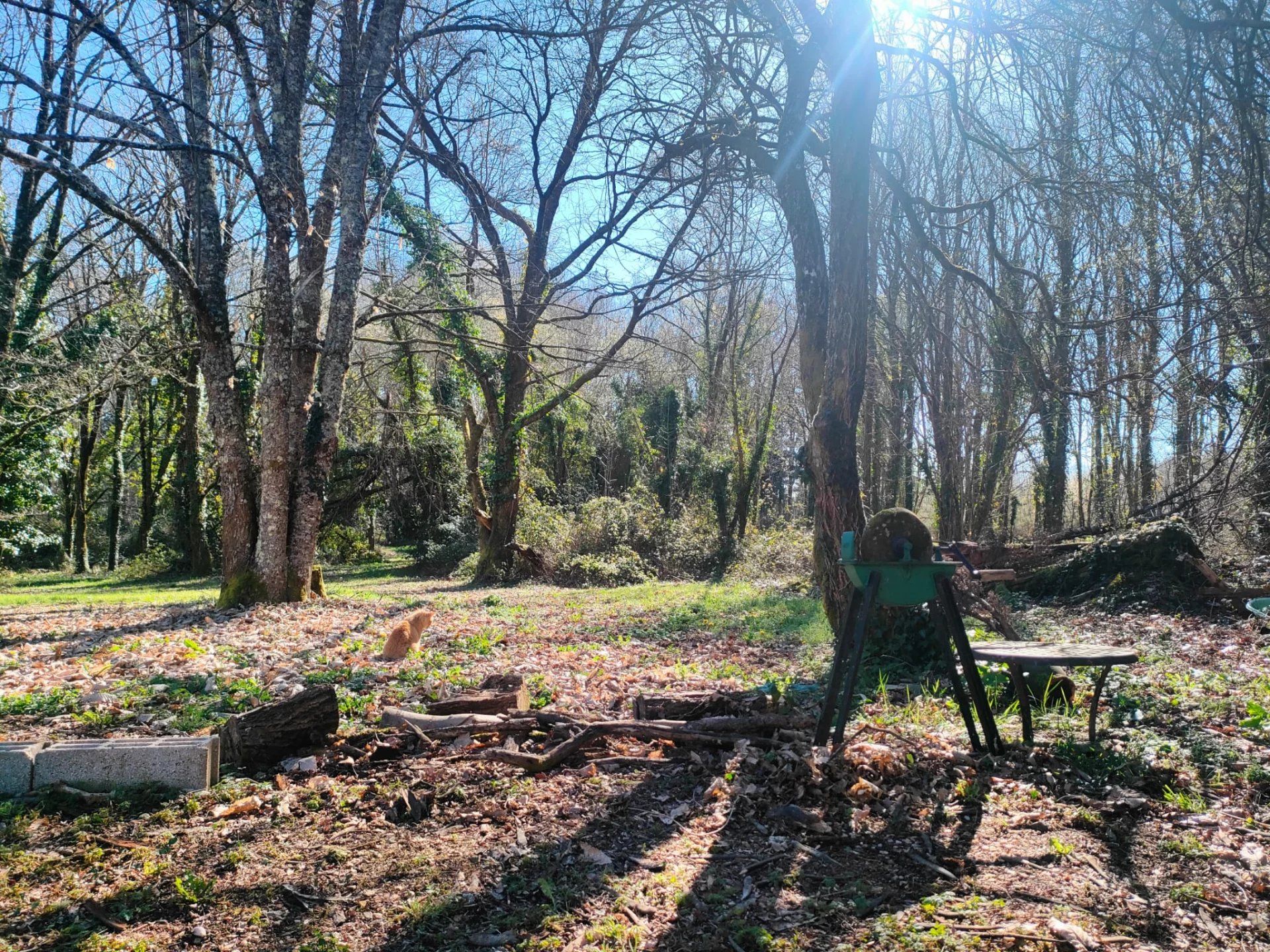 Photo 4 — Pragout Immobilier 