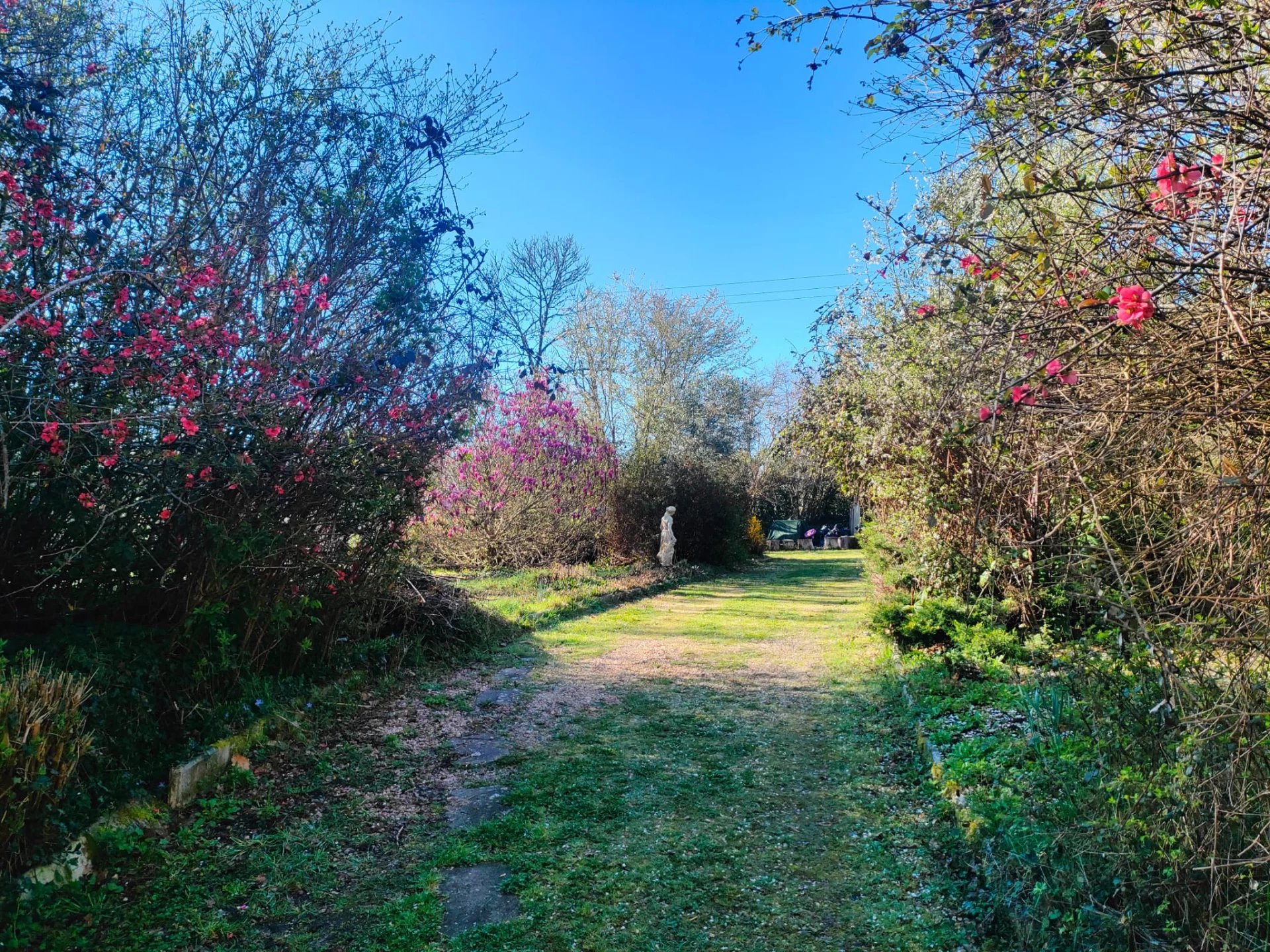 Photo 25 — Pragout Immobilier 
