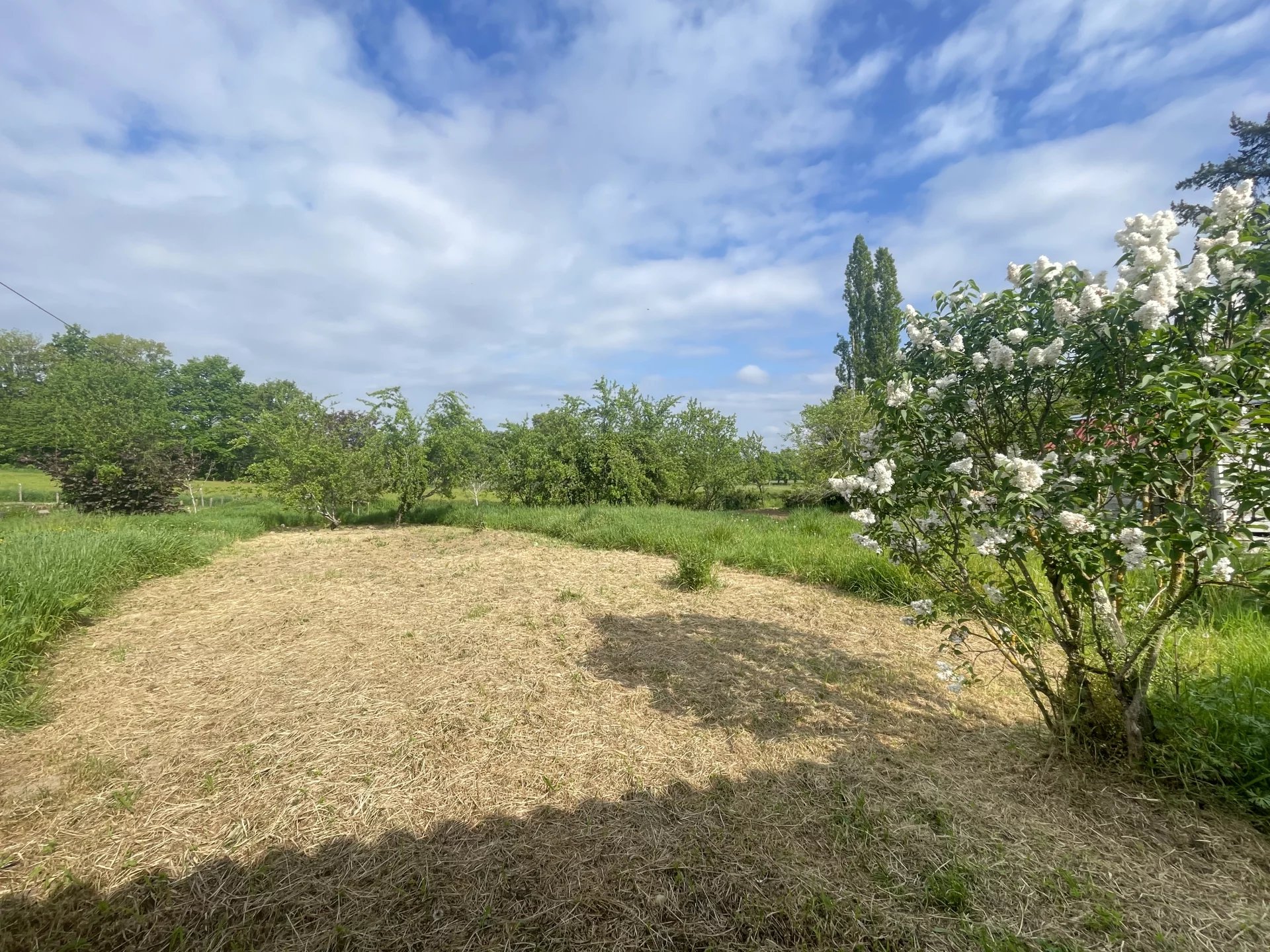 Photo 10 — Pragout Immobilier 