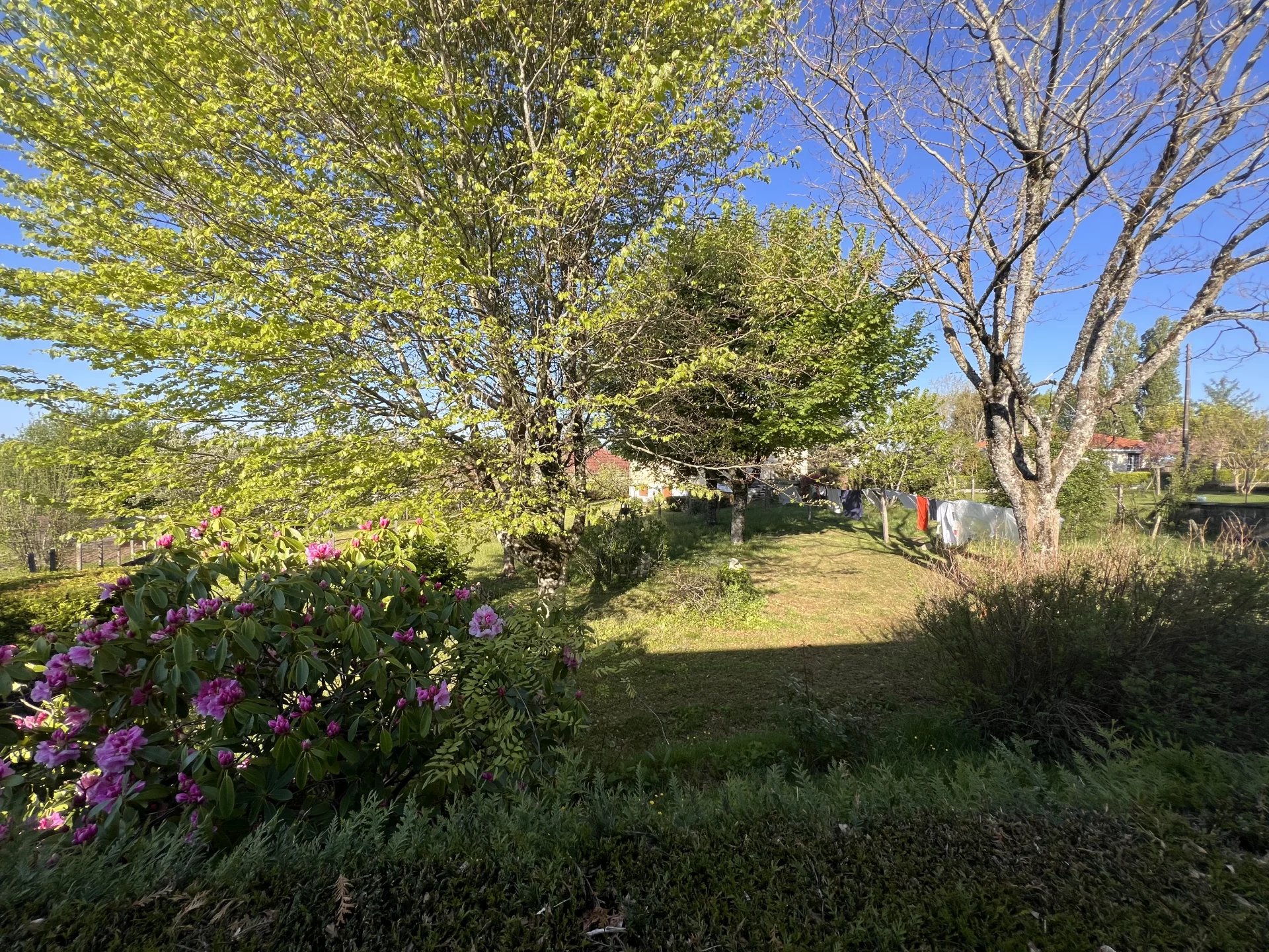 Photo 4 — Pragout Immobilier 