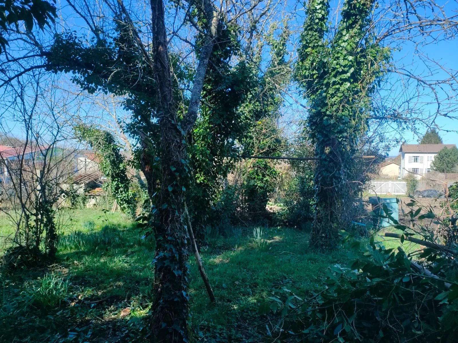 Photo 18 — Pragout Immobilier 