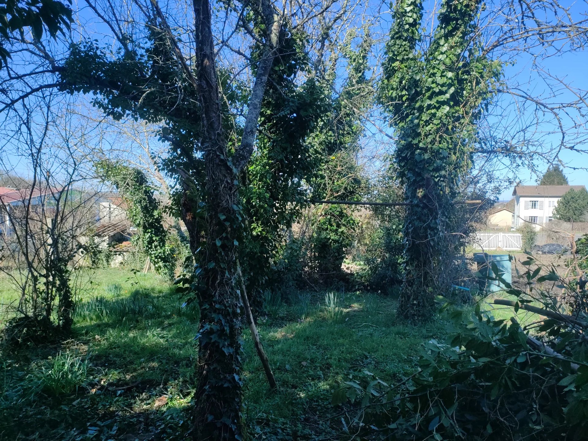 Photo 21 — Pragout Immobilier 