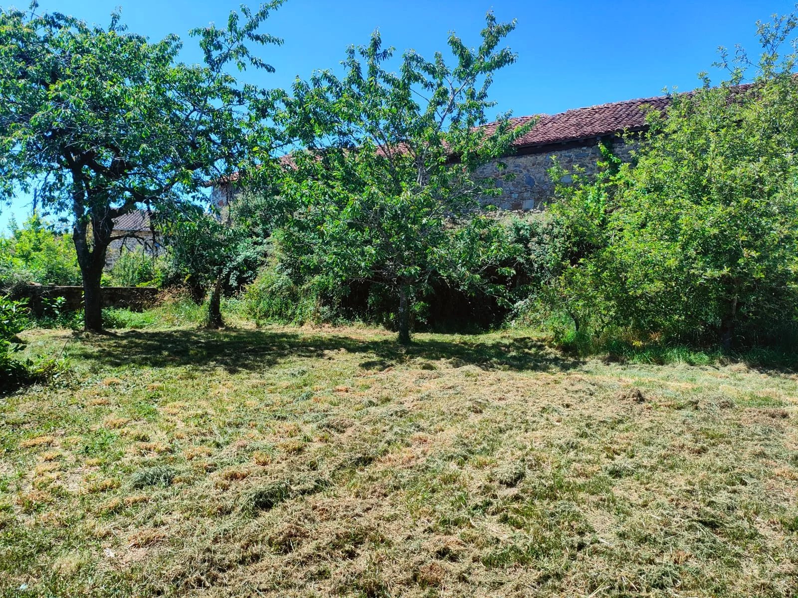 Photo 6 — Pragout Immobilier 