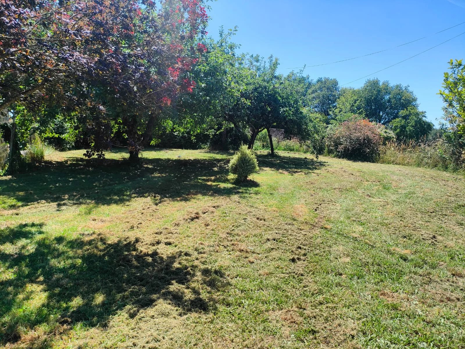 Photo 22 — Pragout Immobilier 