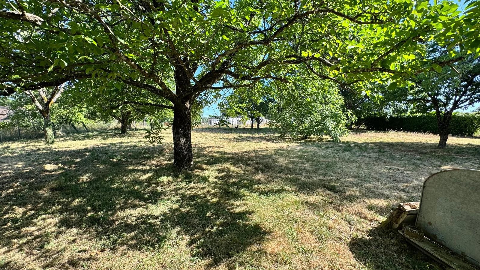Photo 4 — Pragout Immobilier 