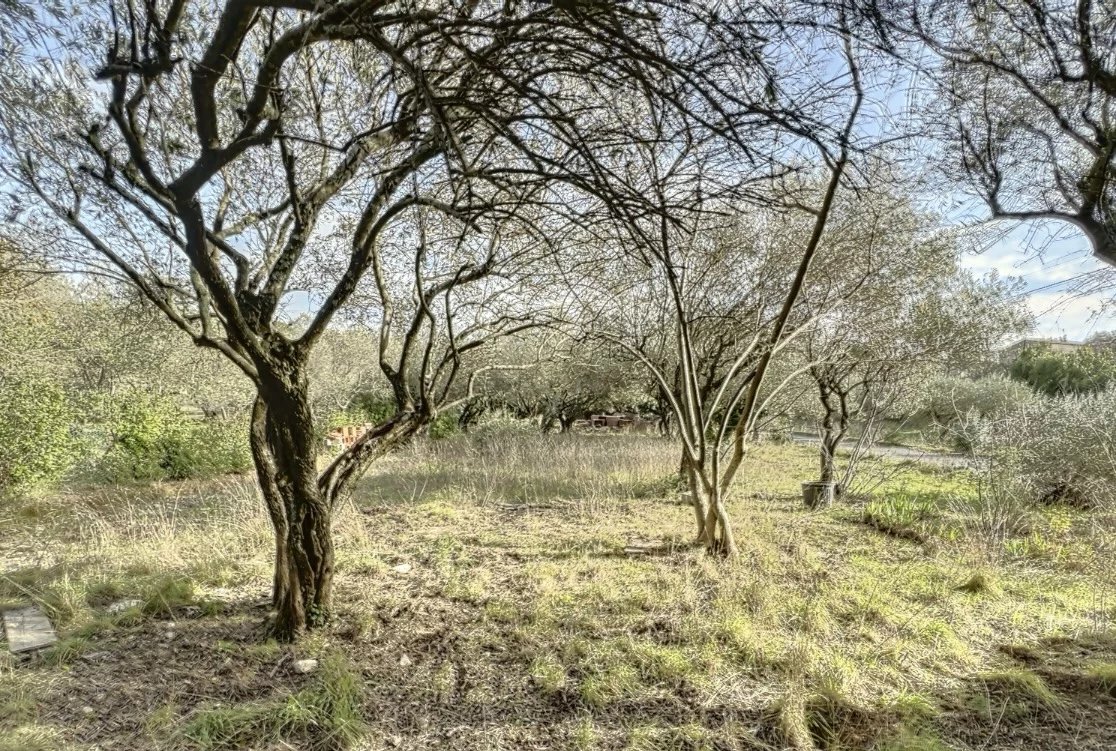 Photo 14 — Pragout Immobilier 