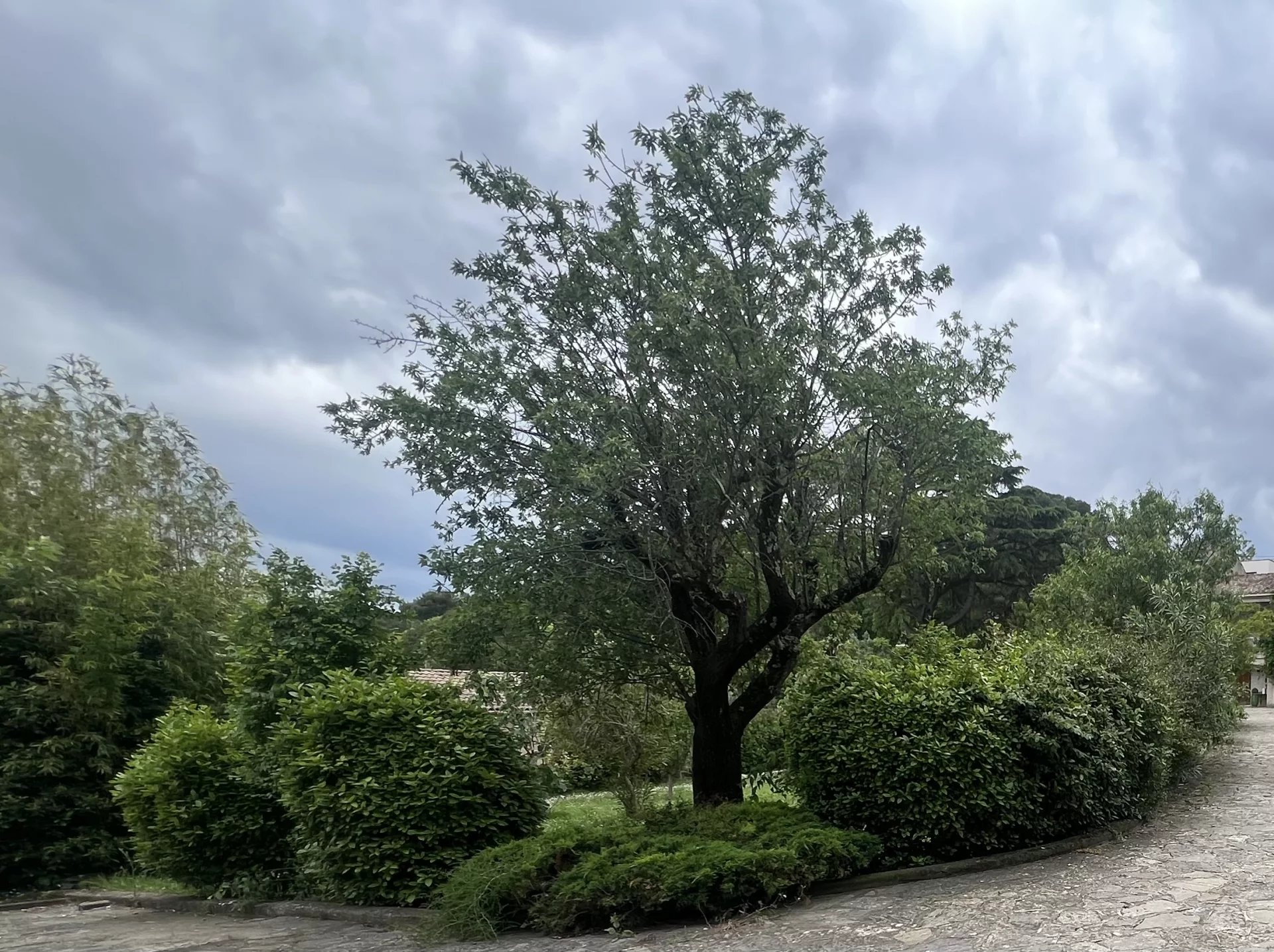 Photo 18 — Pragout Immobilier 