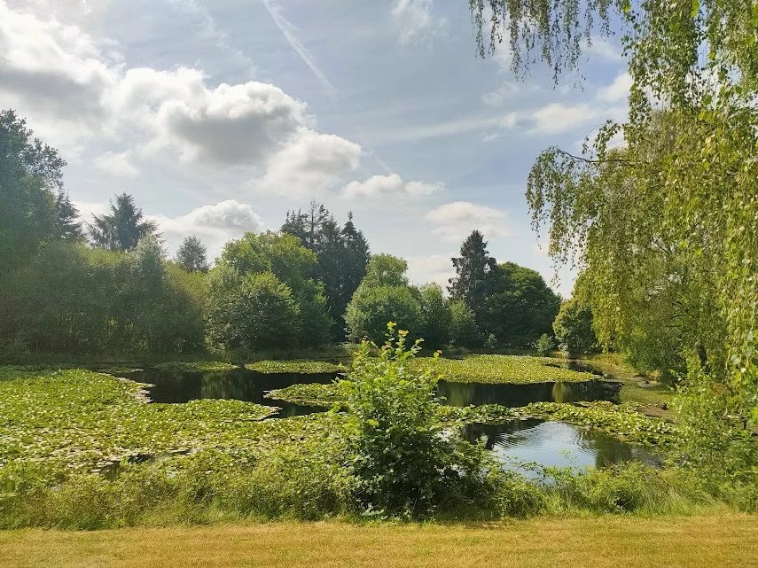 Photo 4 — Pragout Immobilier 