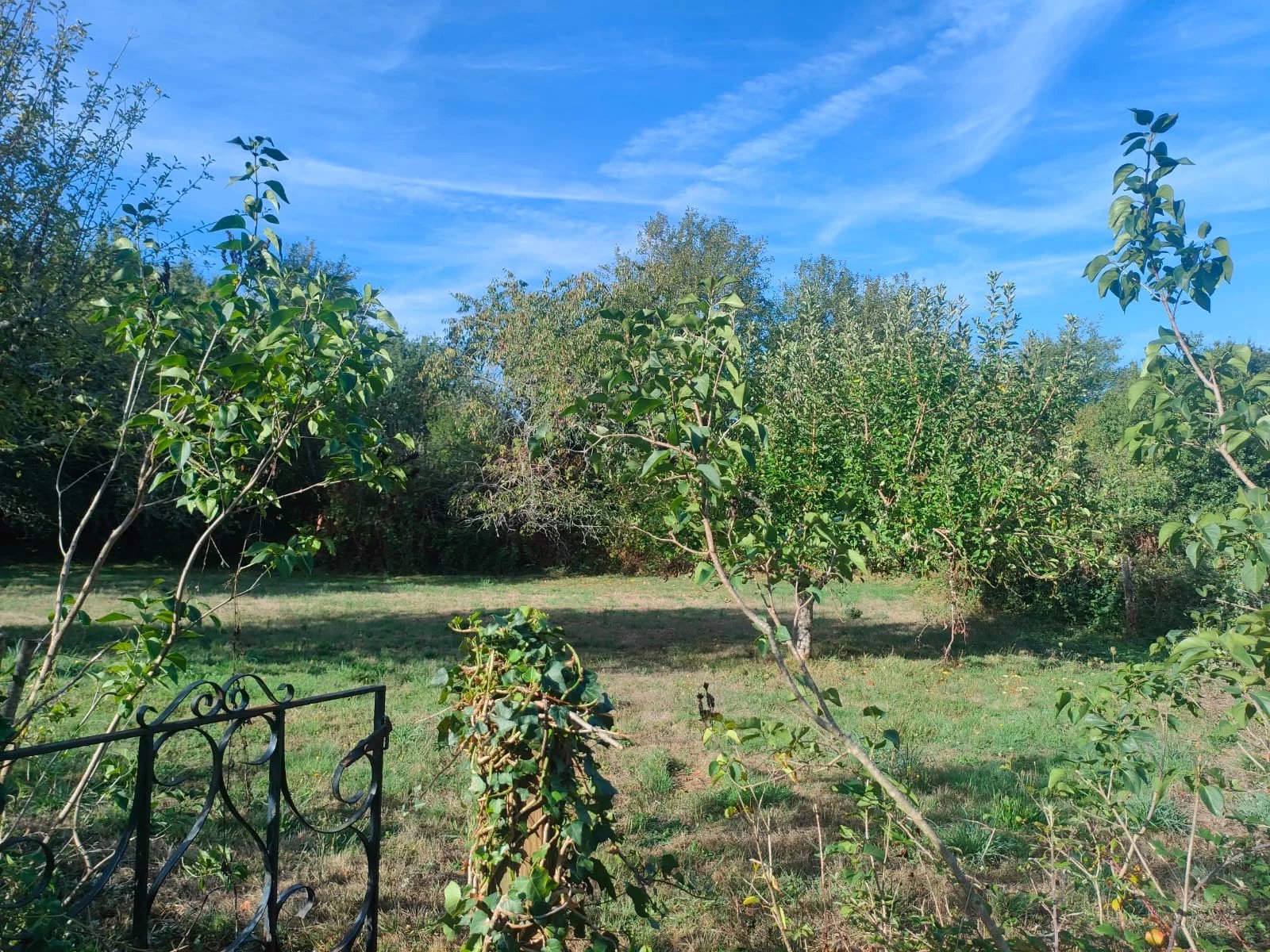 Photo 8 — Pragout Immobilier 