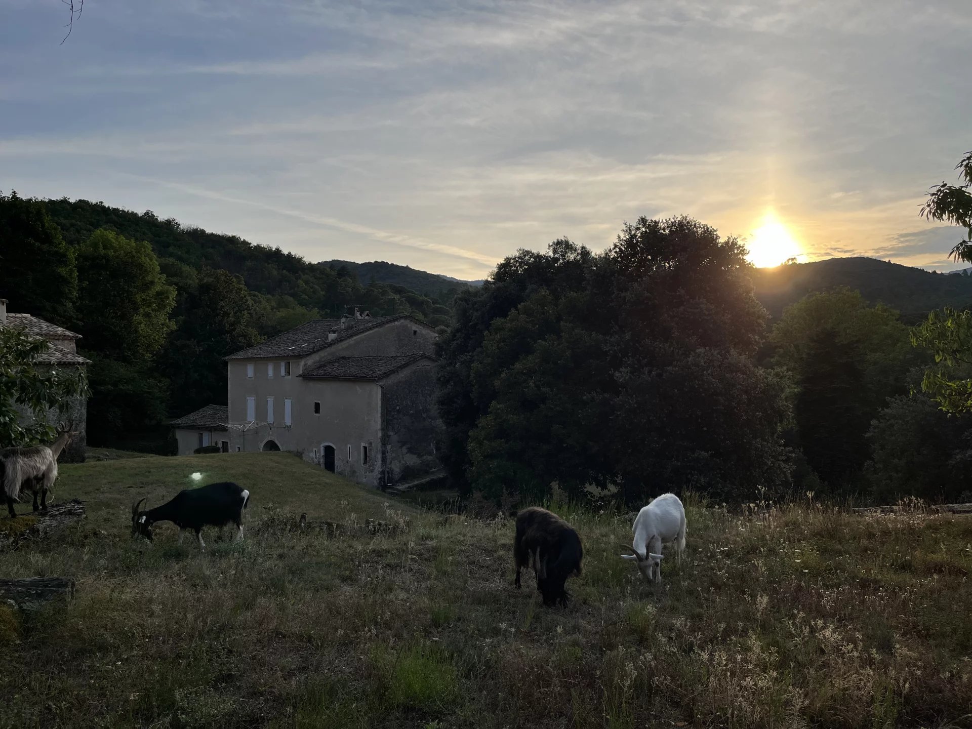 Photo 23 — Pragout Immobilier 