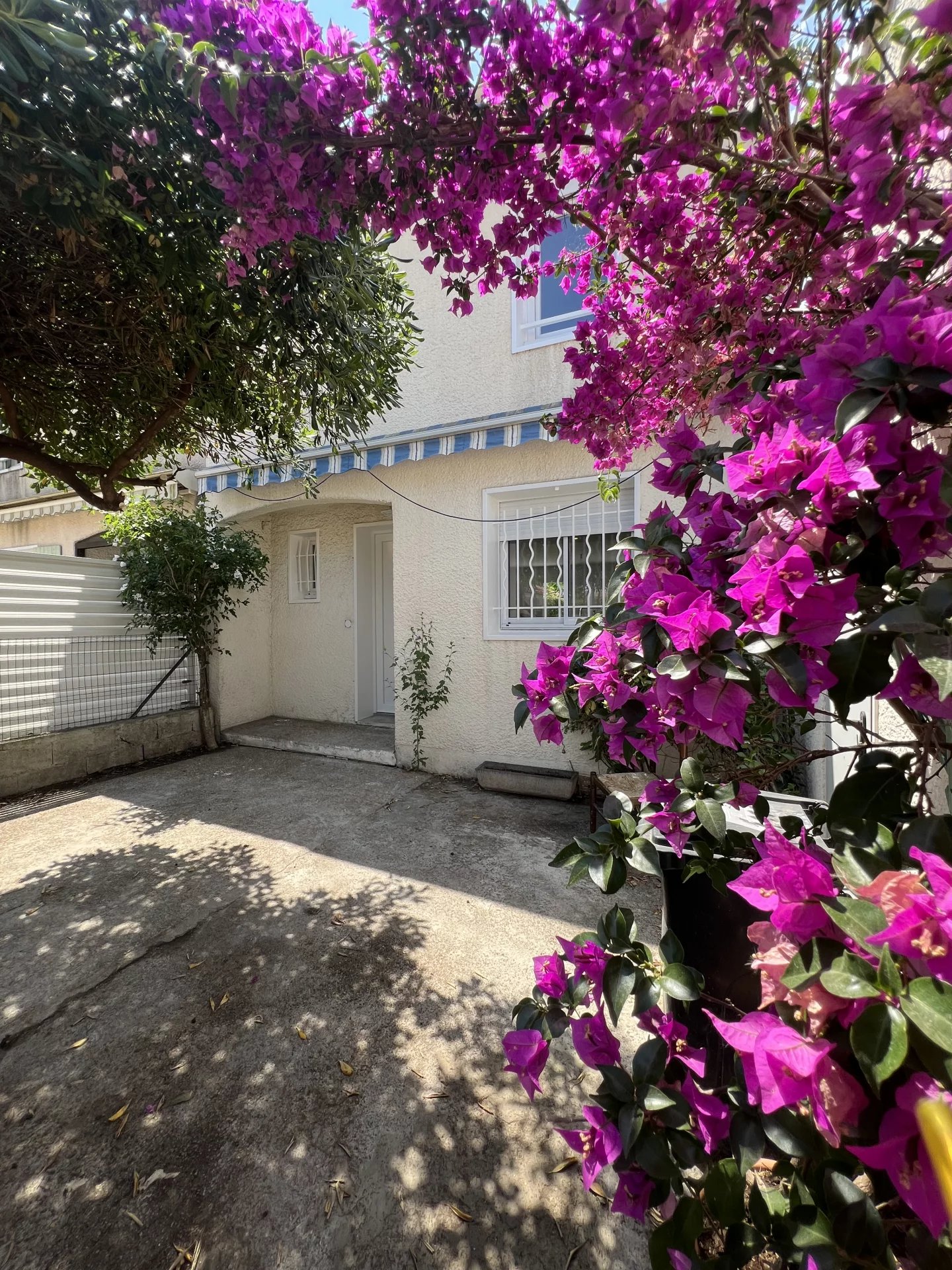 Photo 3 — Pragout Immobilier 