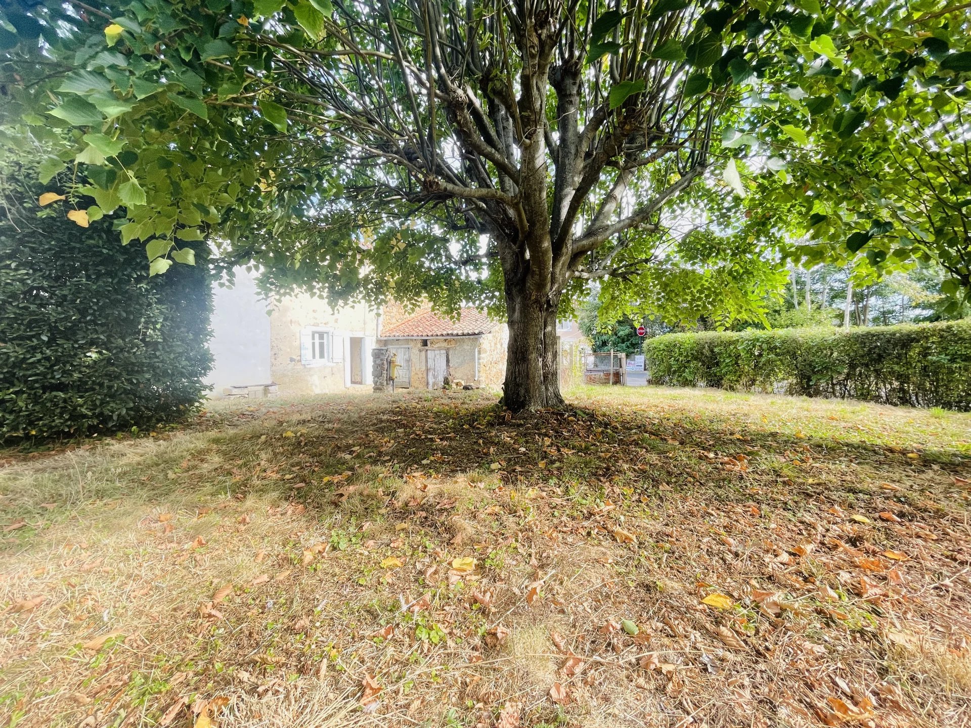 Photo 11 — Pragout Immobilier 