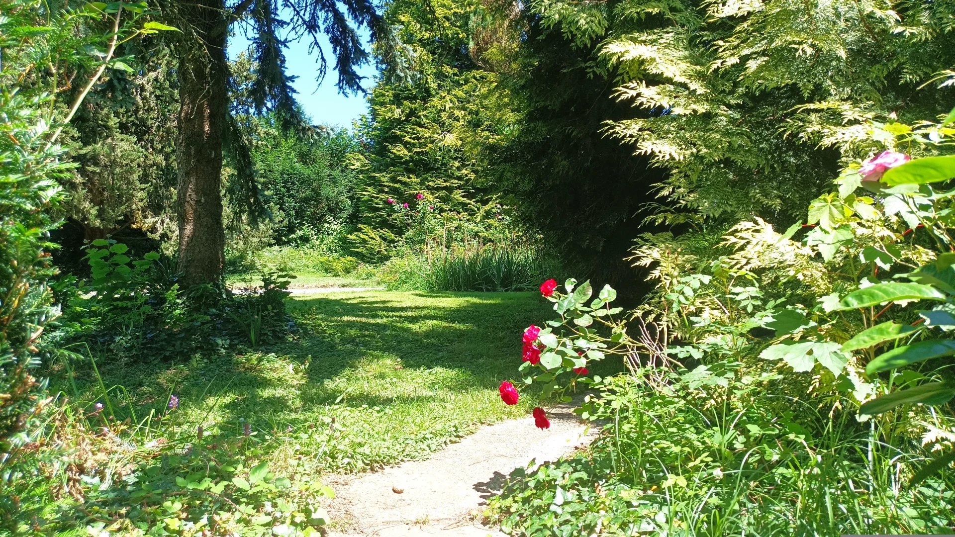 Photo 20 — Pragout Immobilier 