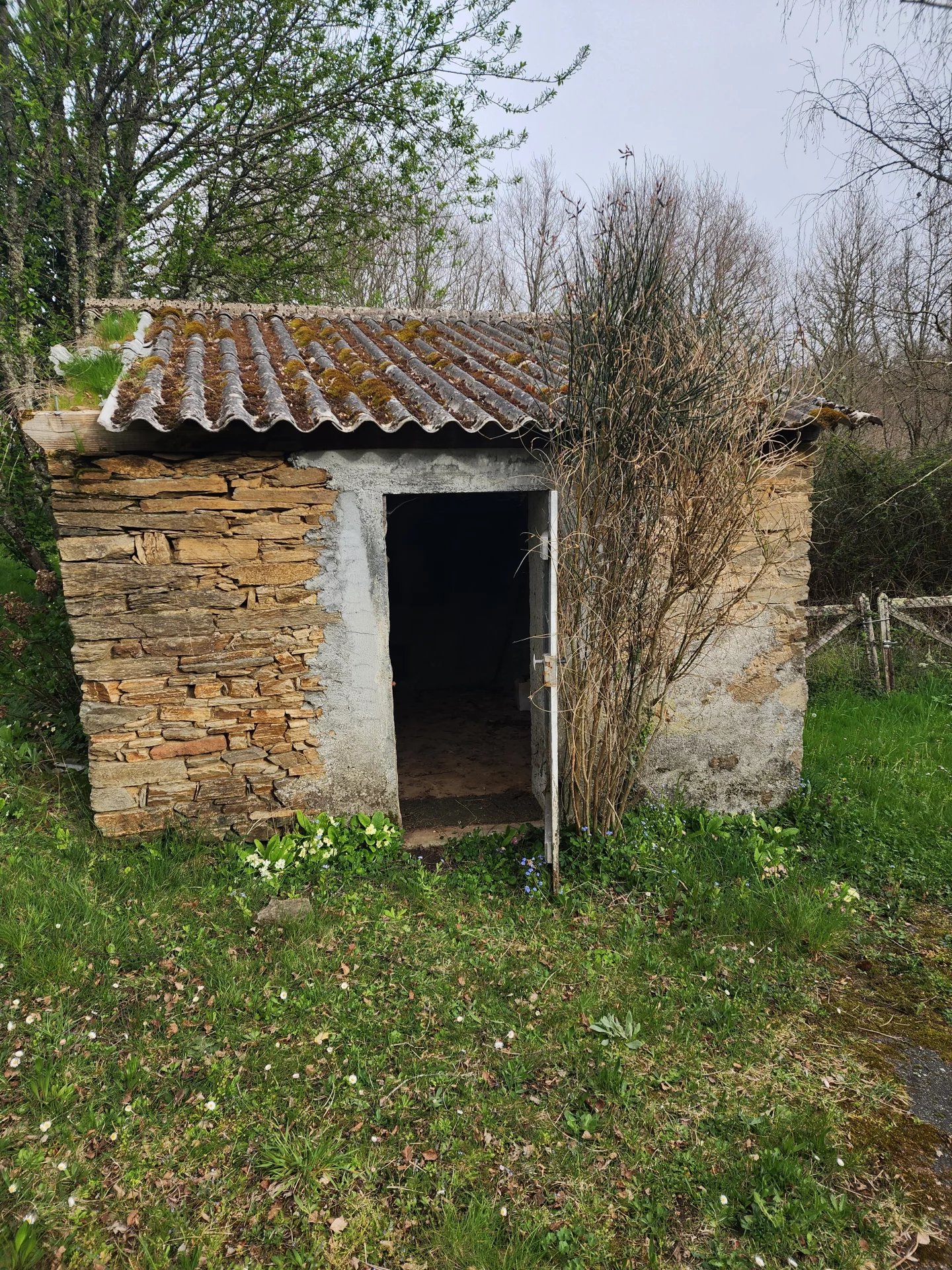 Photo 15 — Pragout Immobilier 