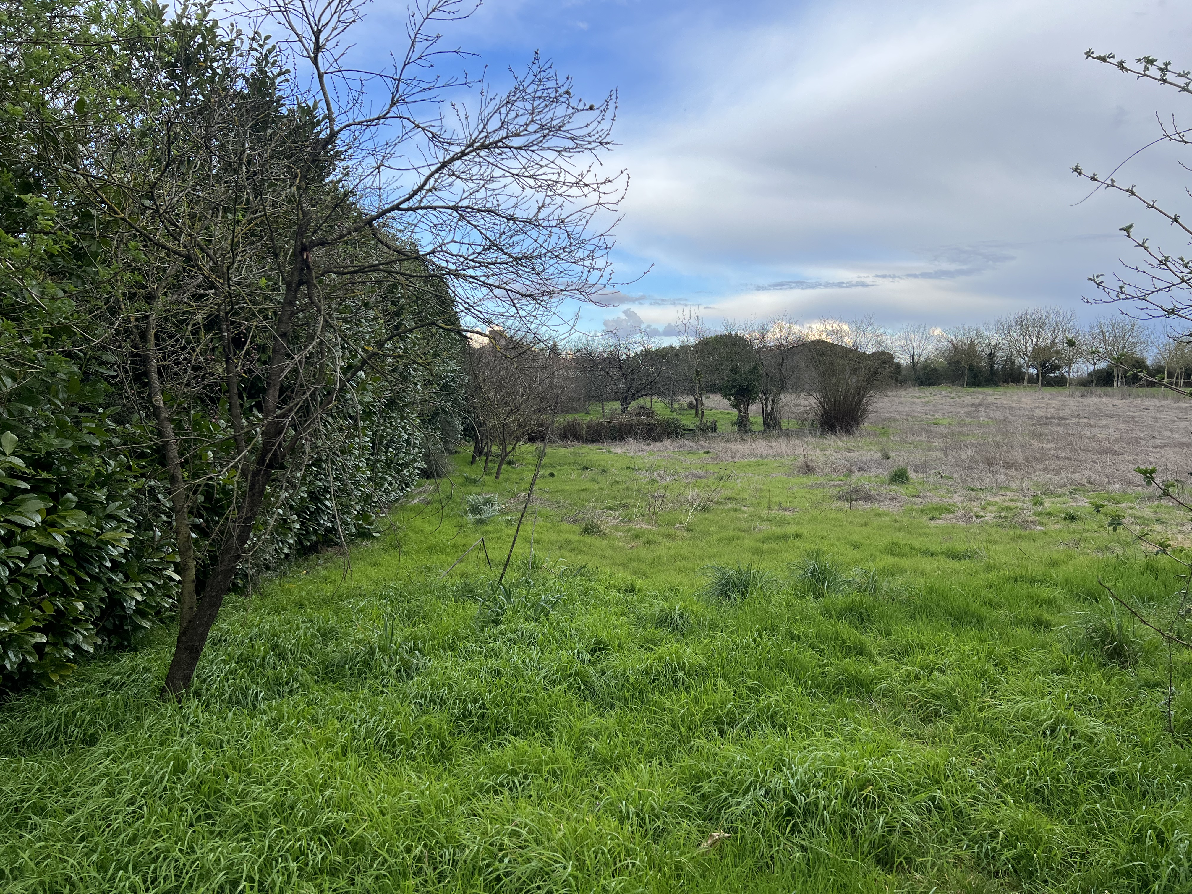 Photo 14 — ACHETEZ VENDEE IMMOBILIER