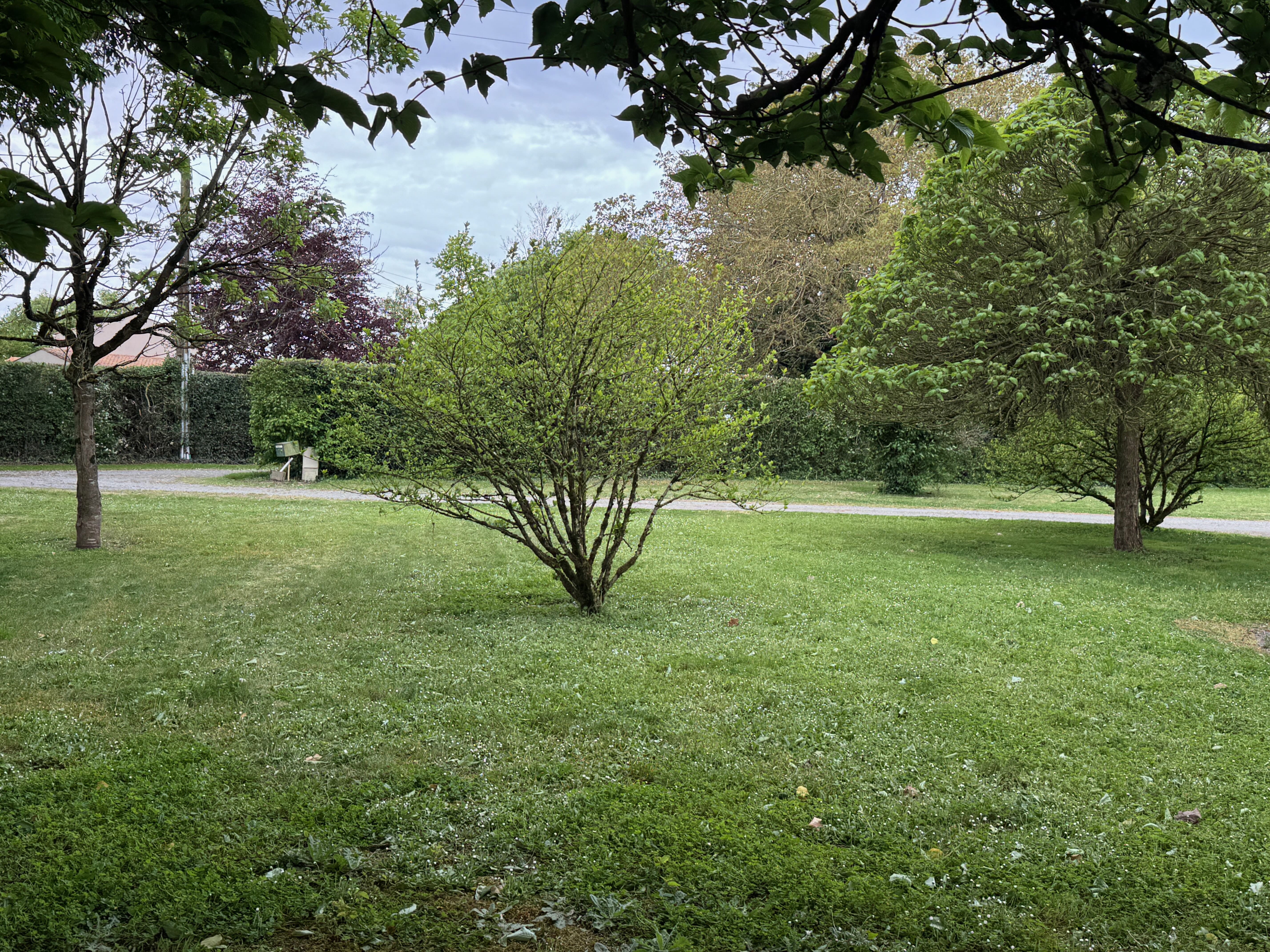 Photo 10 — ACHETEZ VENDEE IMMOBILIER