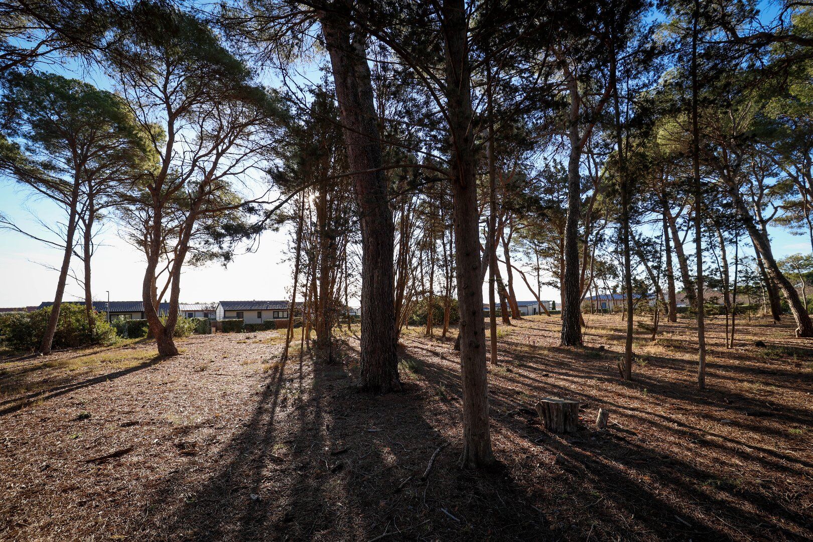 Photo 14 — GMC IMMOBILIER