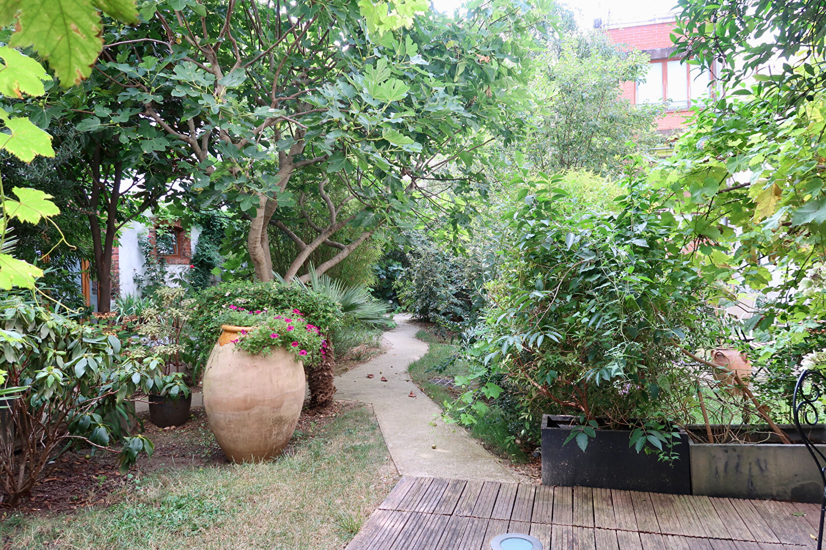 Photo 2 — Olliade