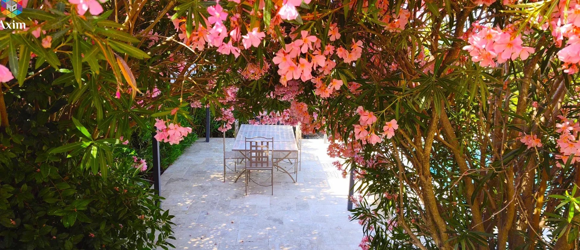 Photo 19 — Axim Mediterranee