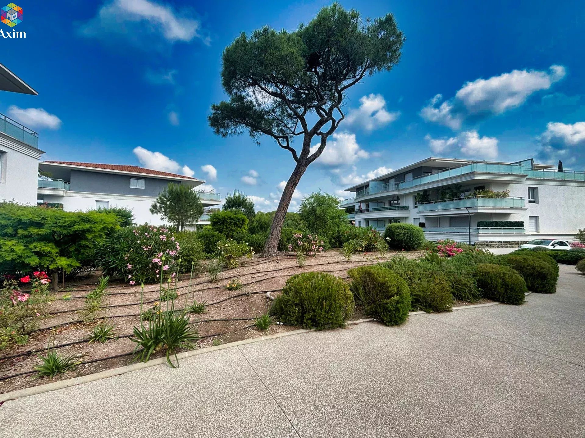 Photo 4 — Axim Mediterranee