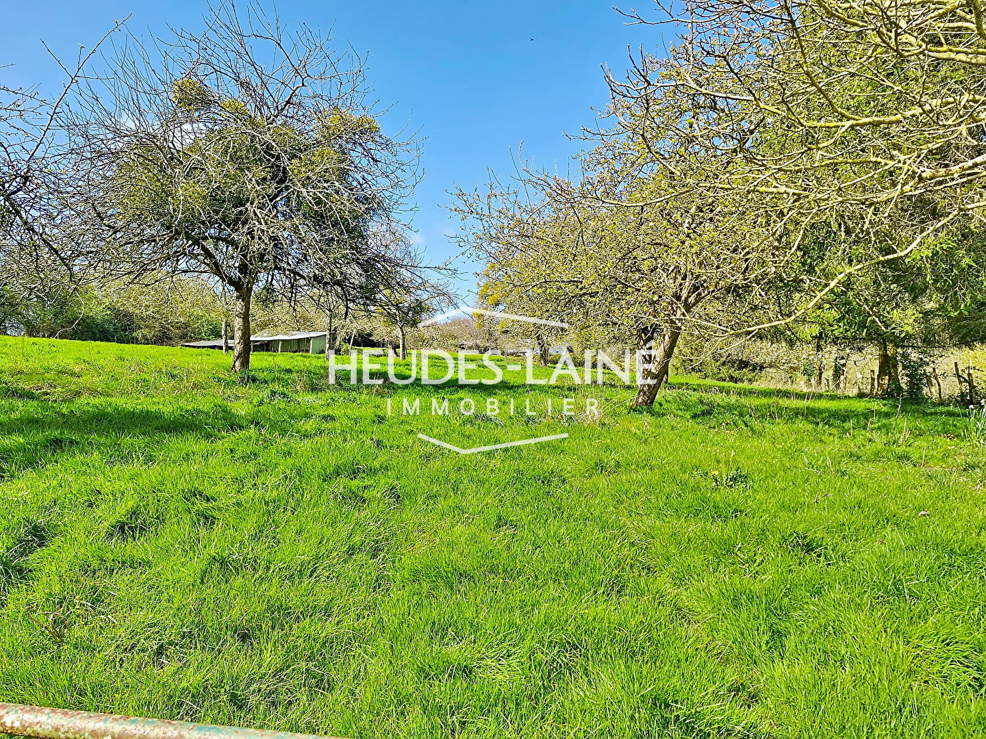 Photo 8 — HEUDES LAINE