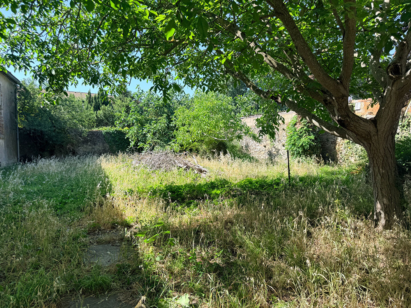 Photo 4 — ARTE VIVENDI