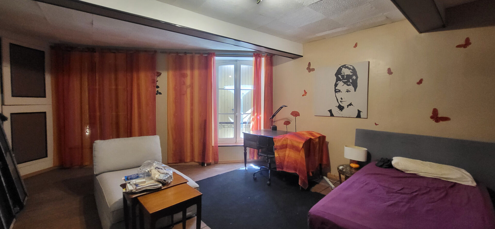 Photo 6 — ARTE VIVENDI