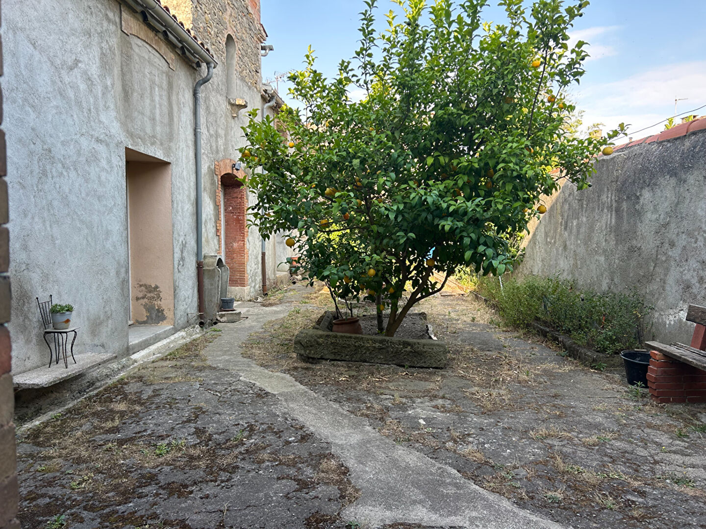 Photo 2 — ARTE VIVENDI