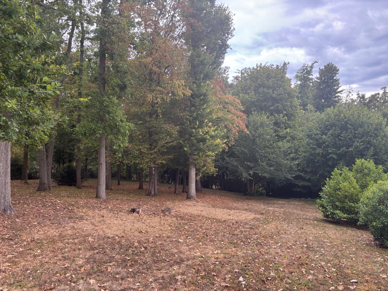 Photo 28 — LA QUEUE LEZ YVELINES IMMOBILIER