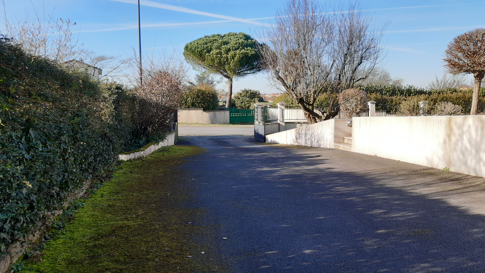 Photo 3 — S'TEAM IMMO