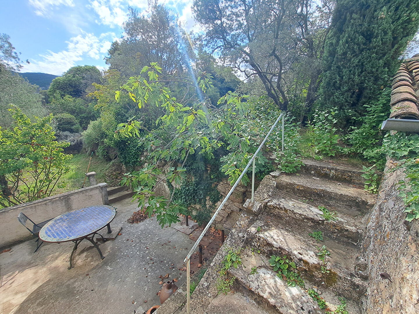 Photo 11 — VENTOUX IMMOBILIER