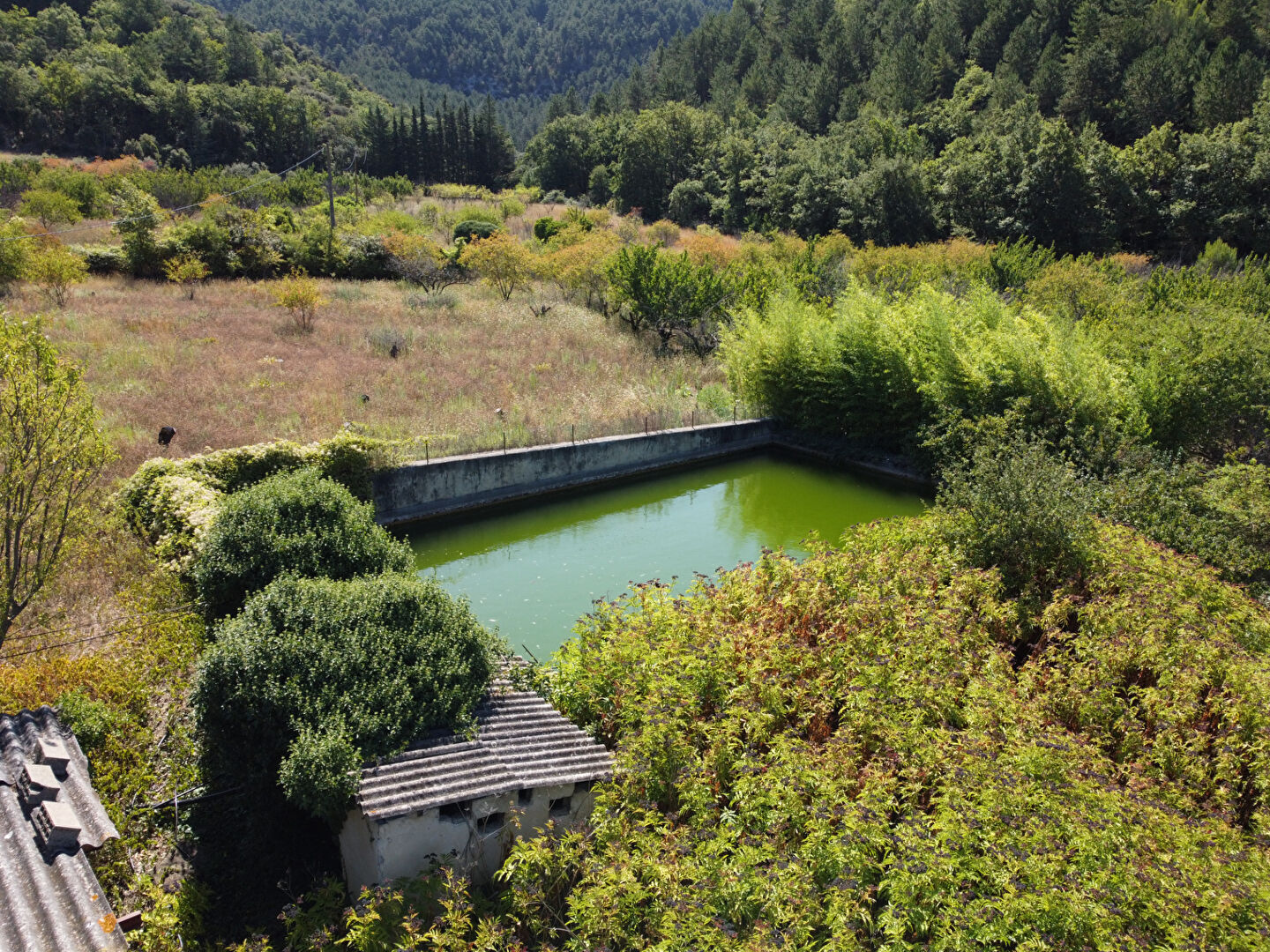 Photo 4 — VENTOUX IMMOBILIER